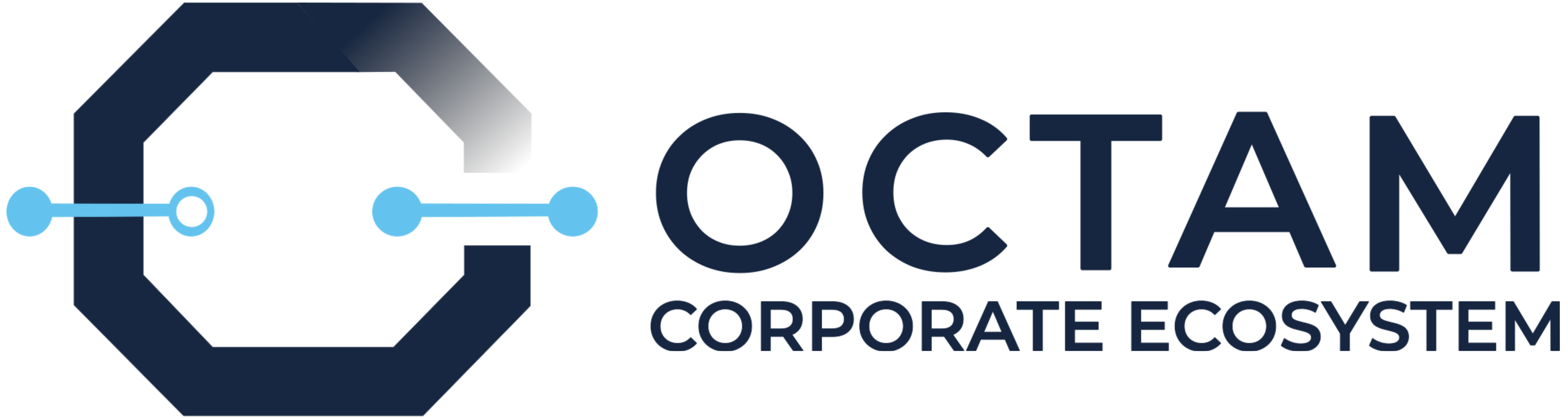 Logotipo de OCTAM